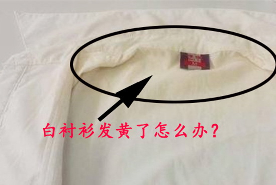 lessmore多少定制教你挽救你的白襯衫